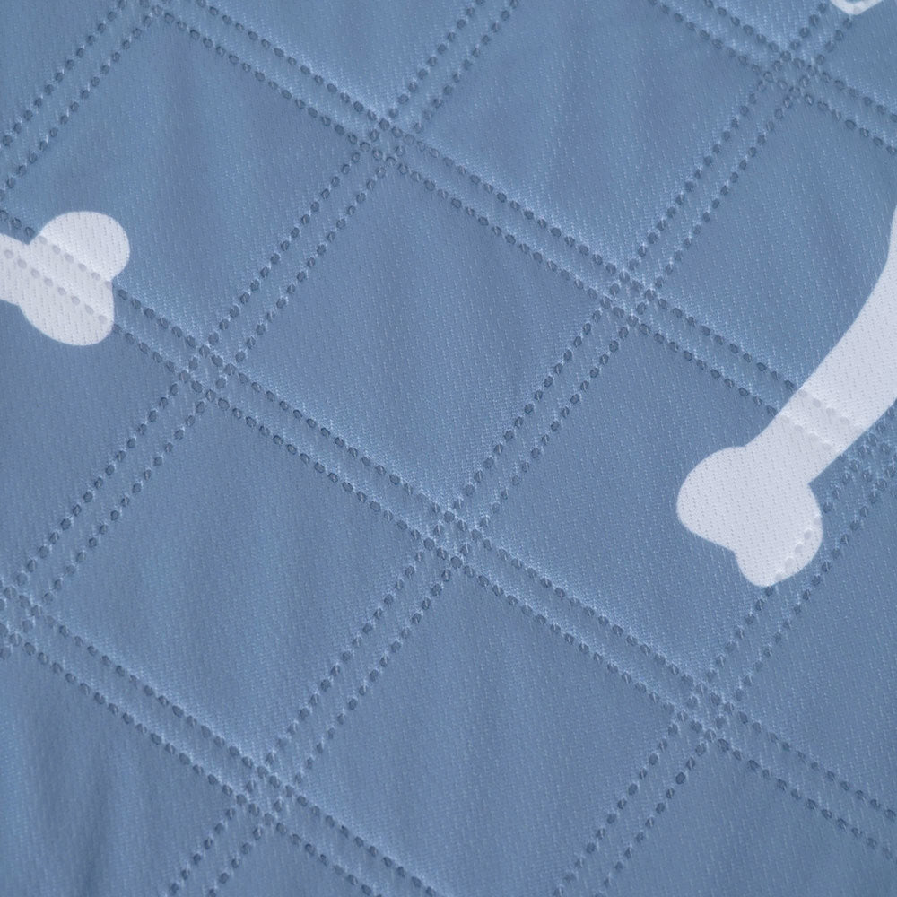 PETSWOL 2 Pack Pet Dog Diaper Bone Pattern Pee Pad