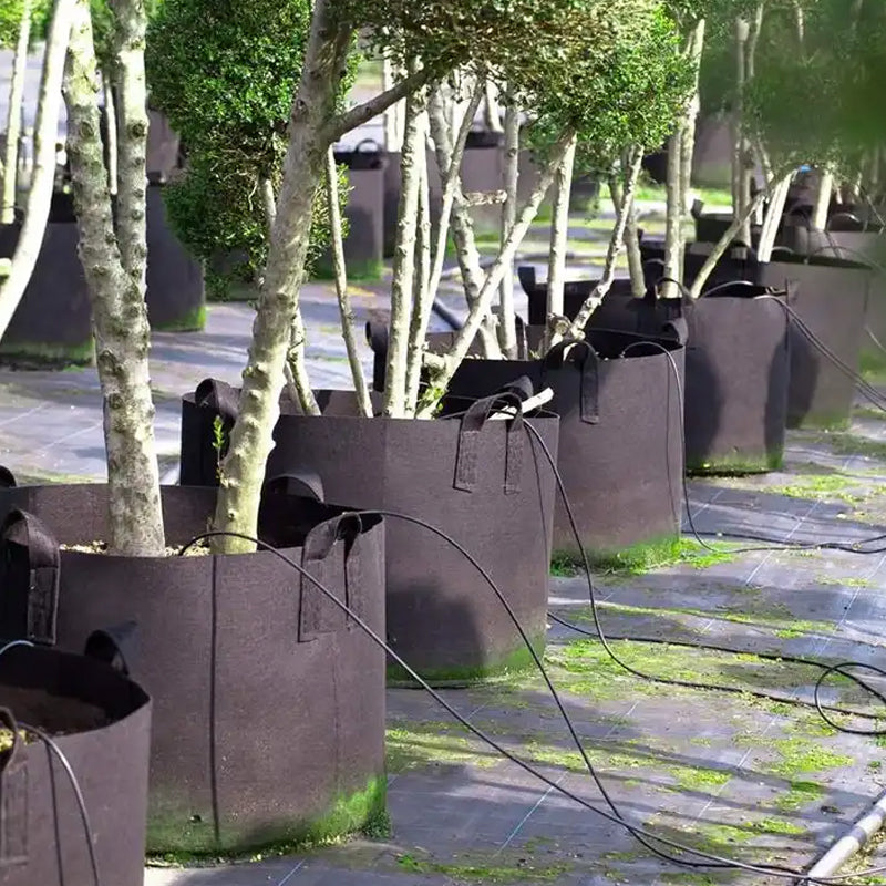 Pack of 10 Fabric Breathable Grow Pots Planter Bags with Handle