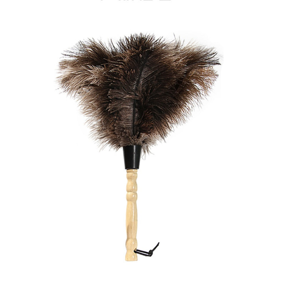 Wooden Handle Feather Duster