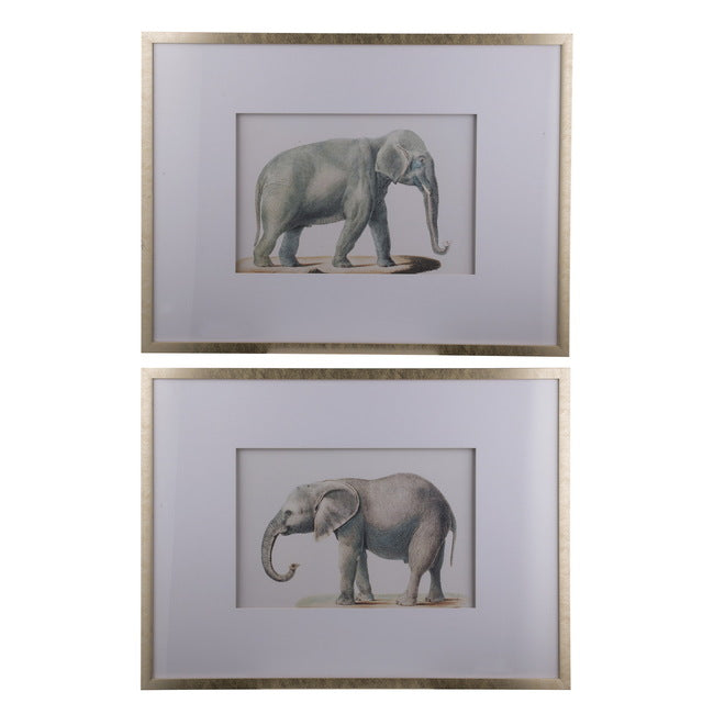 Elephant Framed Prints Set of 2 Adult Artwork Wall Decor 80x60cm