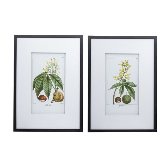 Leaves Flowers & Fruit Wall Art Set of 2 Botanical Prints Black Frame 70cm