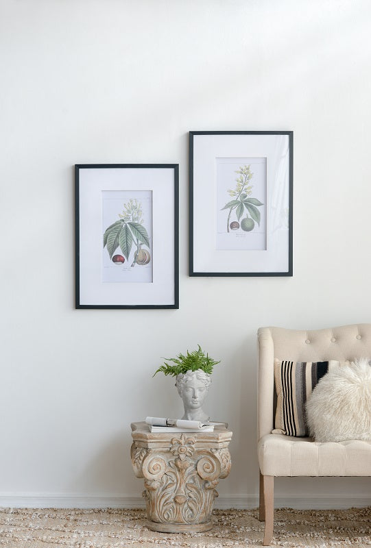 Leaves Flowers & Fruit Wall Art Set of 2 Botanical Prints Black Frame 70cm