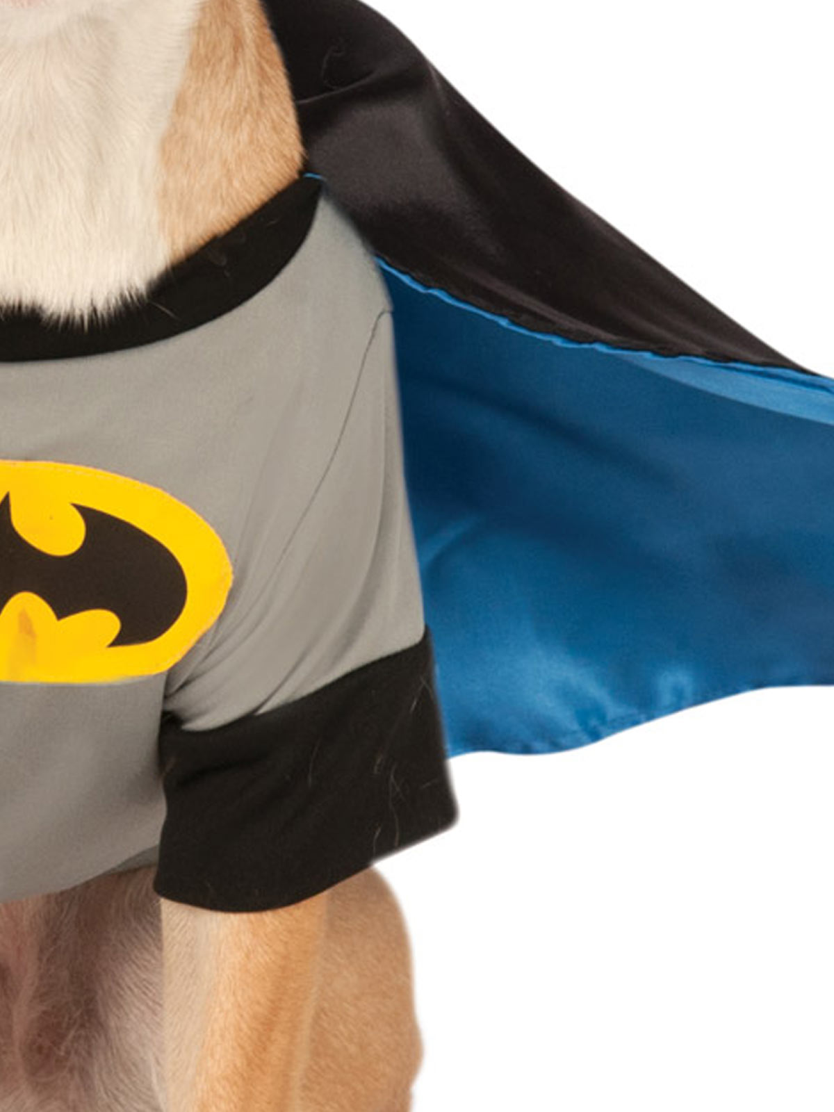 Batman Deluxe Pet Costume Official DC Comics for Dogs with Cape and Headpiece Black Colour