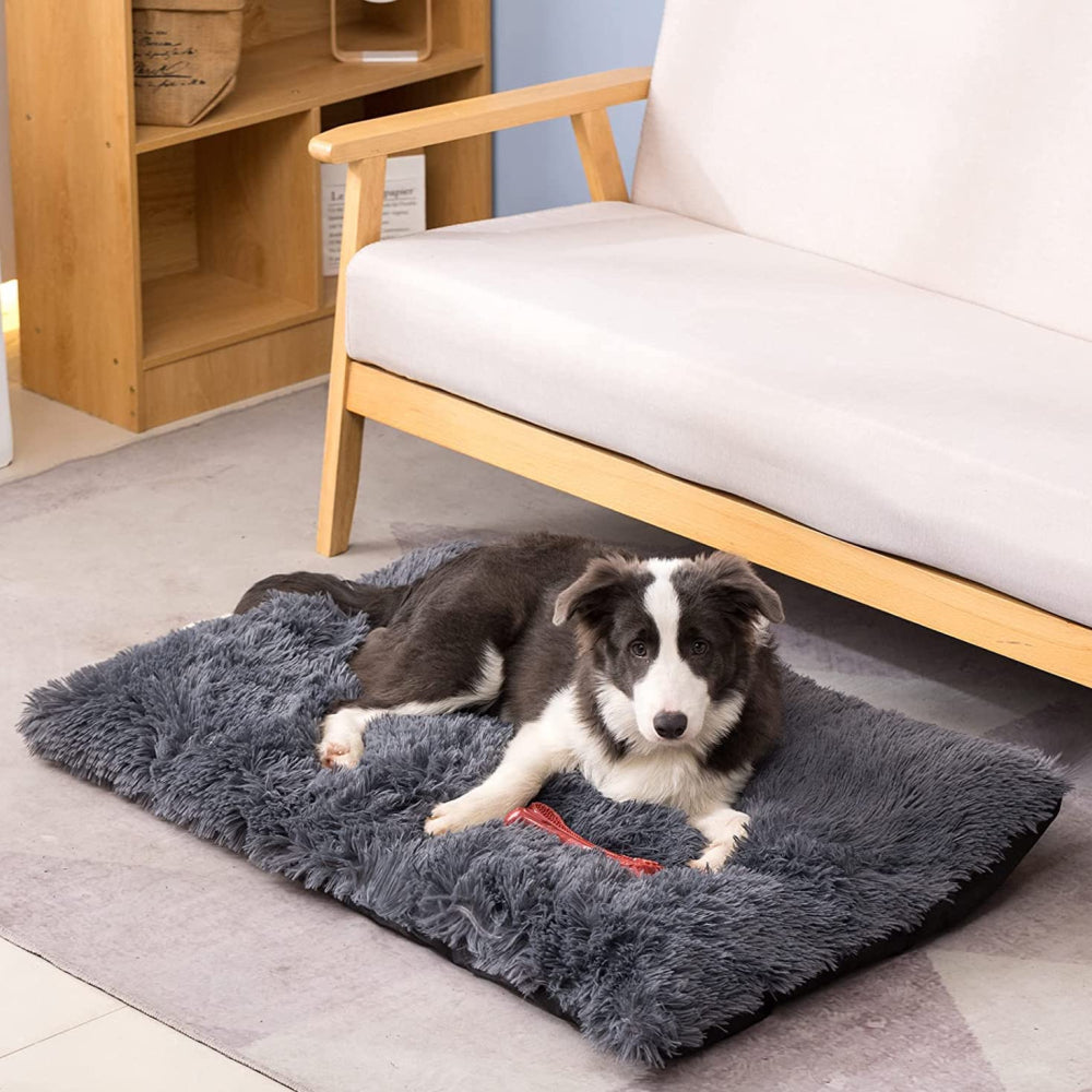 PETSWOL Plush and Cozy Pet Mat for Ultimate Comfort and Warmth