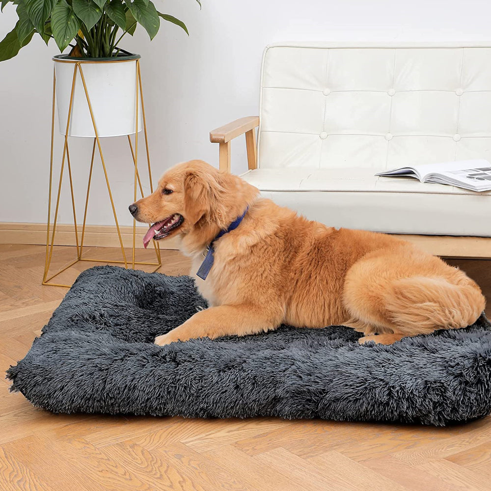 PETSWOL Plush and Cozy Pet Mat for Ultimate Comfort and Warmth
