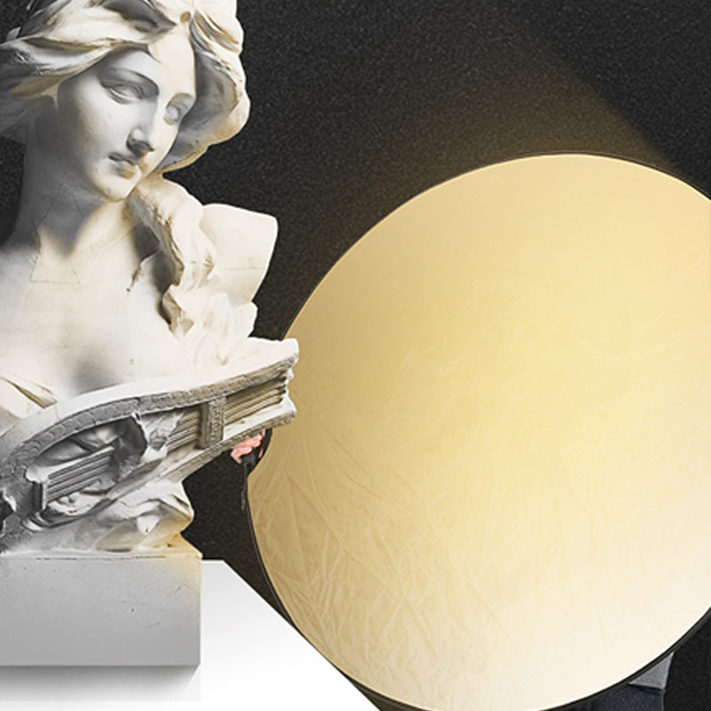 5-in-1 Multiple Collapsible Photo Reflector with Handlebar and Case