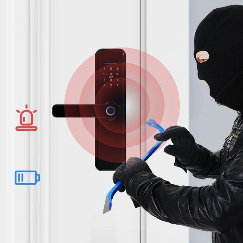 Electronic Wireless Fingerprint Recognition Smart Key Entry Door Lock