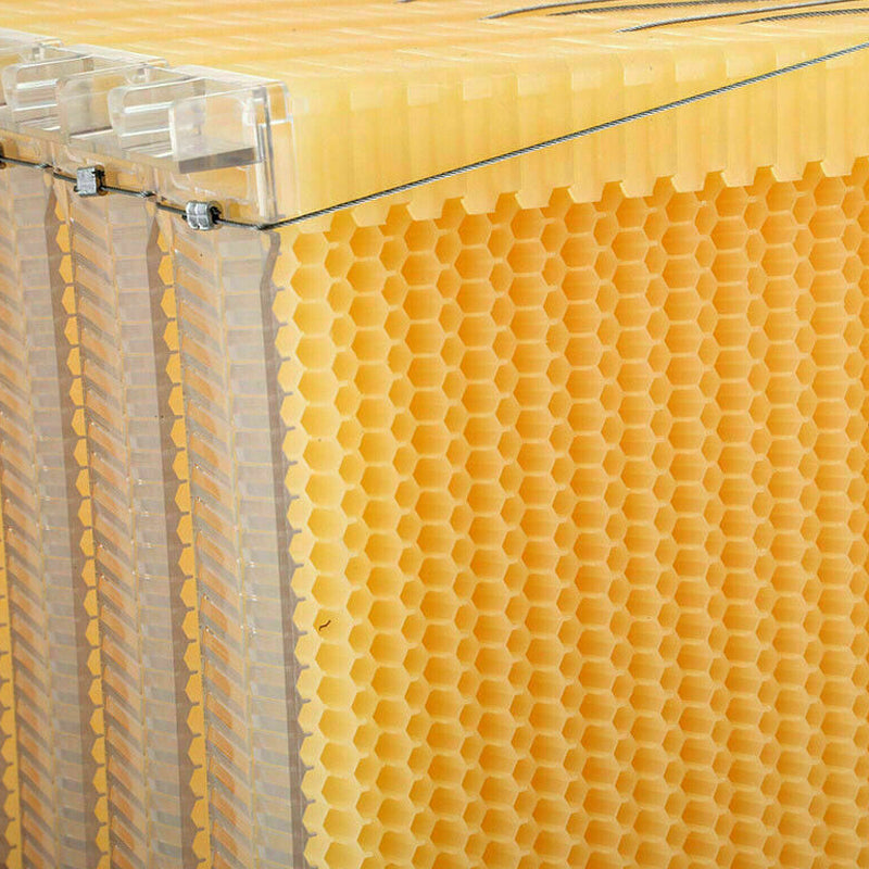 7 Pcs Unassembled Sheets Beehive Wooden Frames Beekeeping Supplies