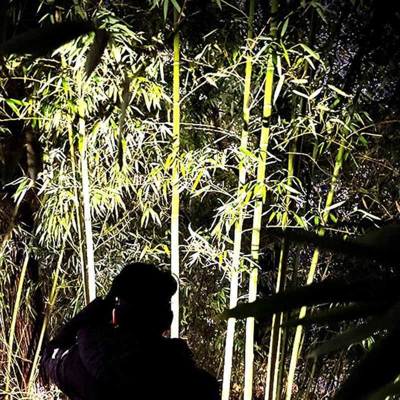 LED Motion Sensor Head Torch Waterproof Headlamp USB Rechargeable