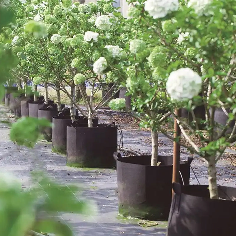 Pack of 10 Fabric Breathable Grow Pots Planter Bags with Handle