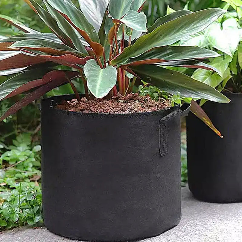 Pack of 10 Fabric Breathable Grow Pots Planter Bags with Handle