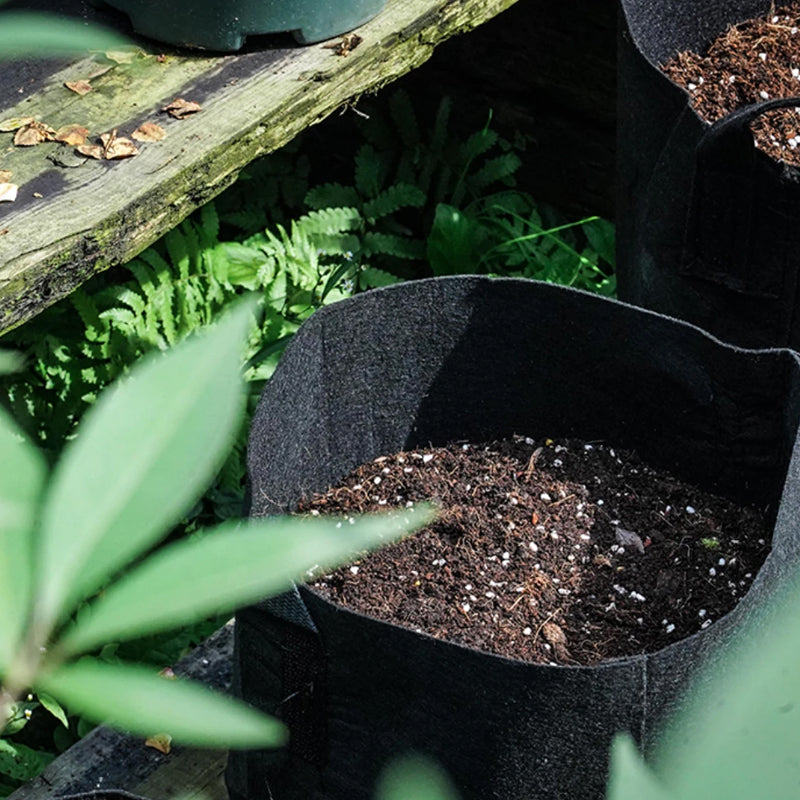 Non-Woven Fabric Reusable and Breathable Growing Planter Pots in 5, 10, and 20 Gallon