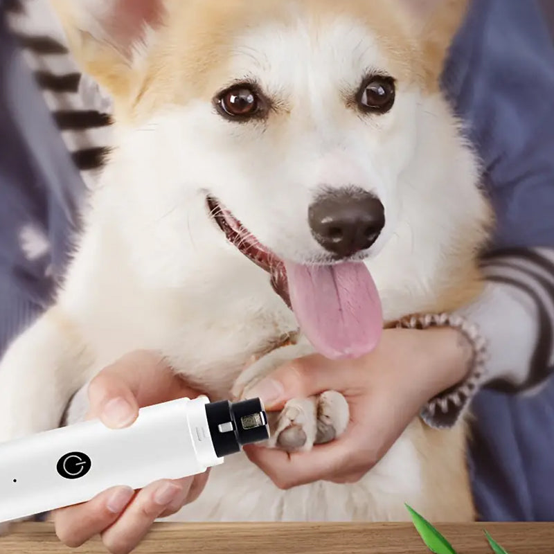 Automatic Electric Pet Nail Grinder with LED Guide Light - USB Rechargeable