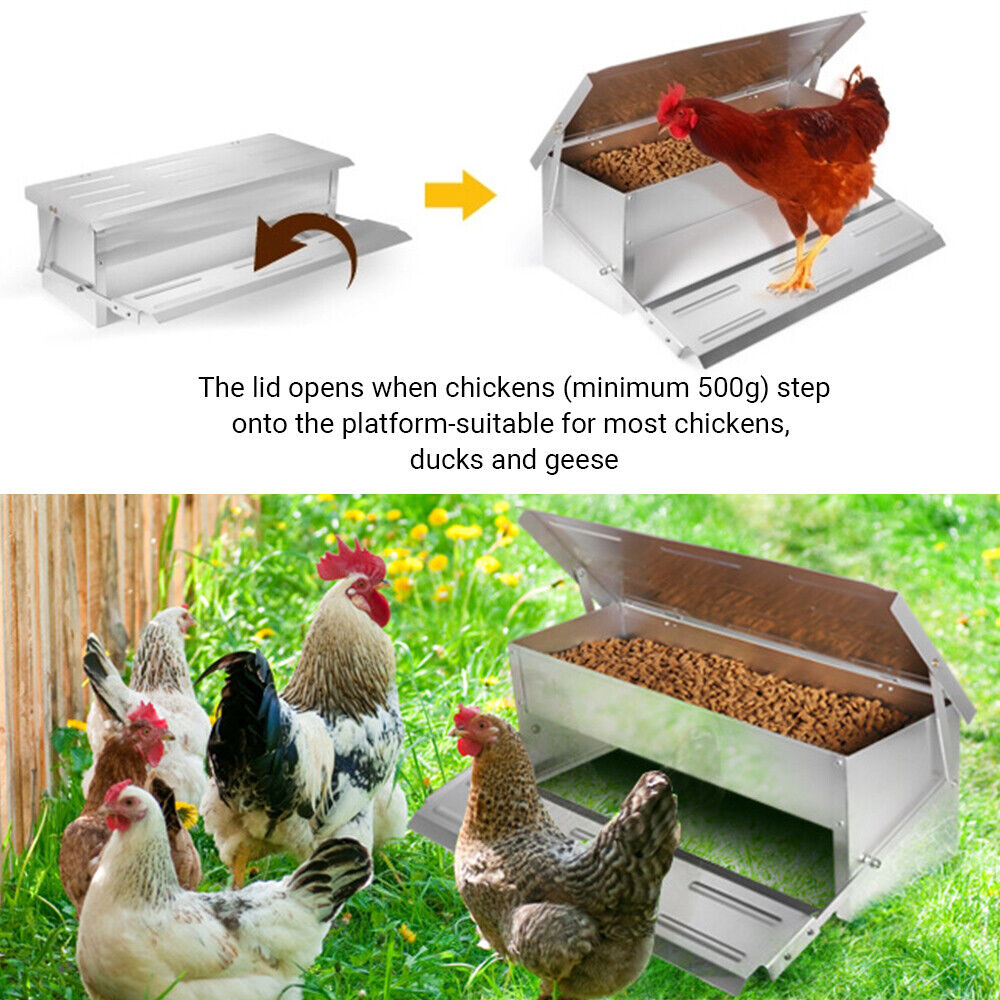 Heavy Large 5KG Treadle Automatic Farm Poultry Feeder Kit