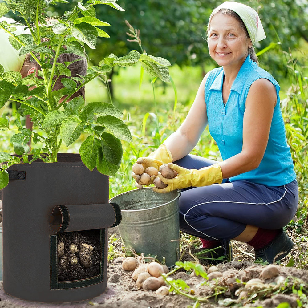 10 Gallon Potato Grow Container with Side Window - Available in 2 Quantity and 3 Colors