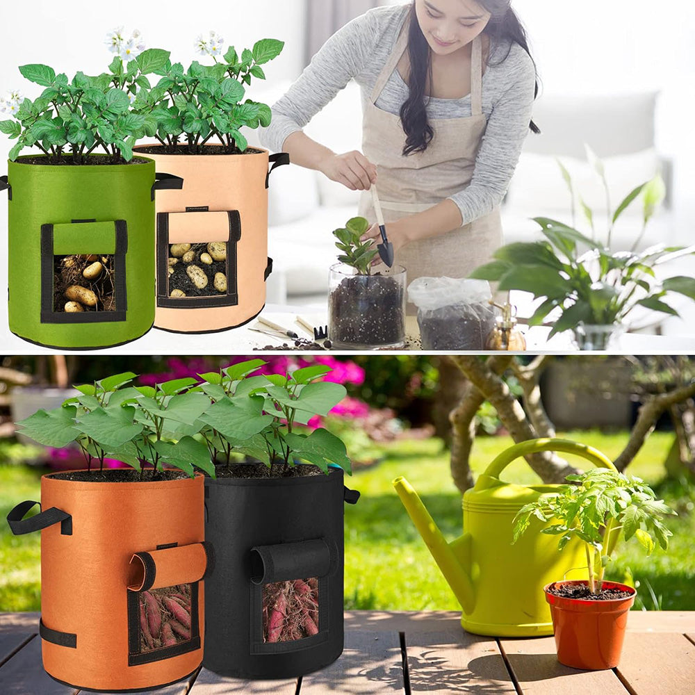 10 Gallon Potato Grow Container with Side Window - Available in 2 Quantity and 3 Colors