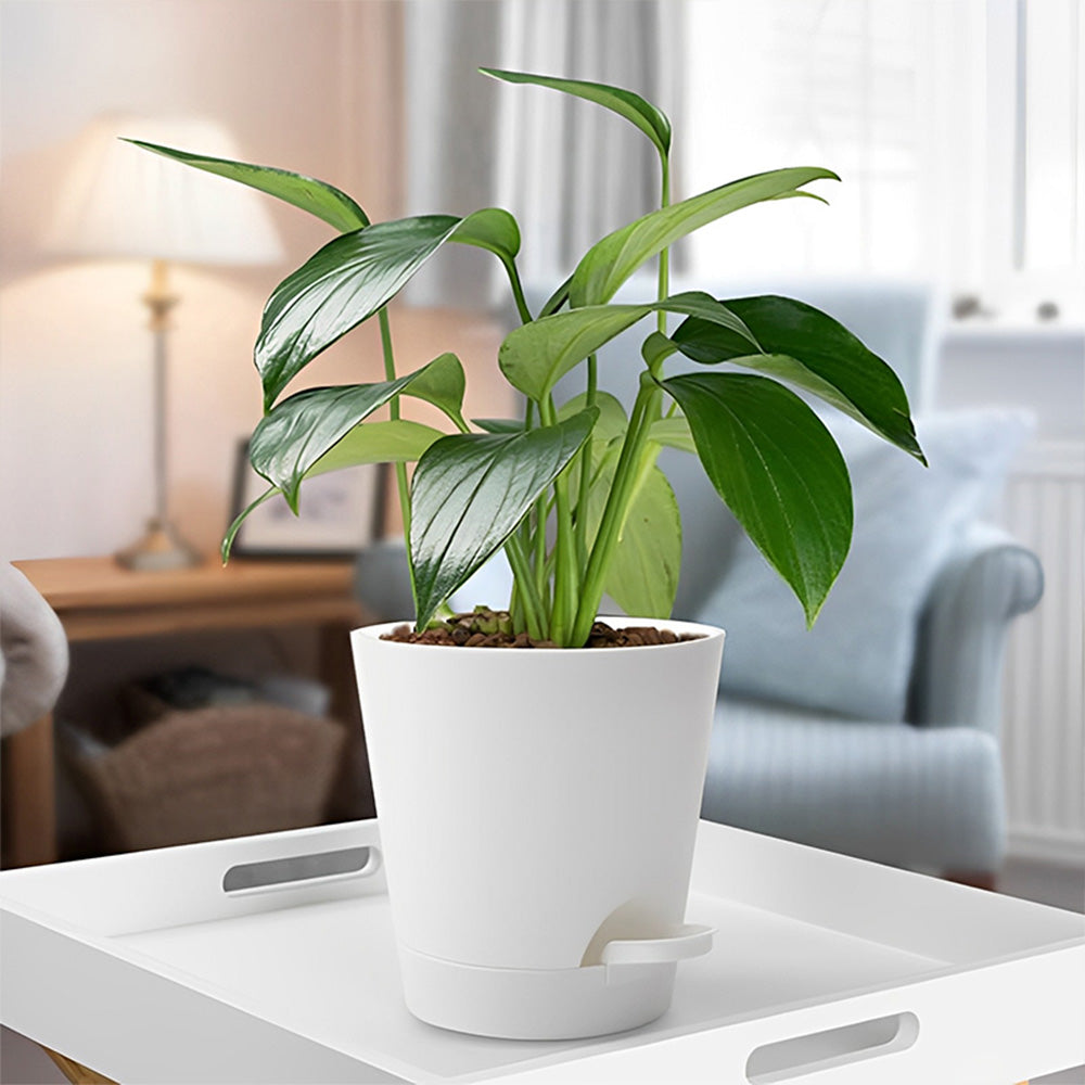 GREENHAVEN Self Watering Planters with Drainage Hole - Set of 5