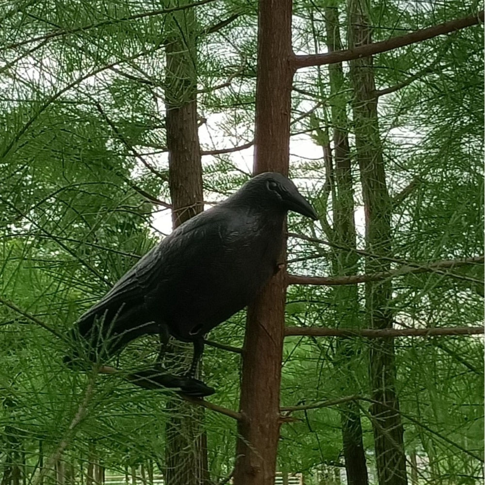 Simulation Black Crow Raven Pigeon Repellent