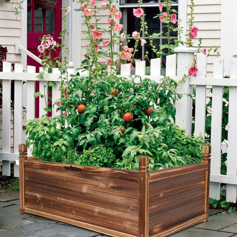 Raised Garden Bed Flower or Vegetable Planter Window Mounted Plant Box