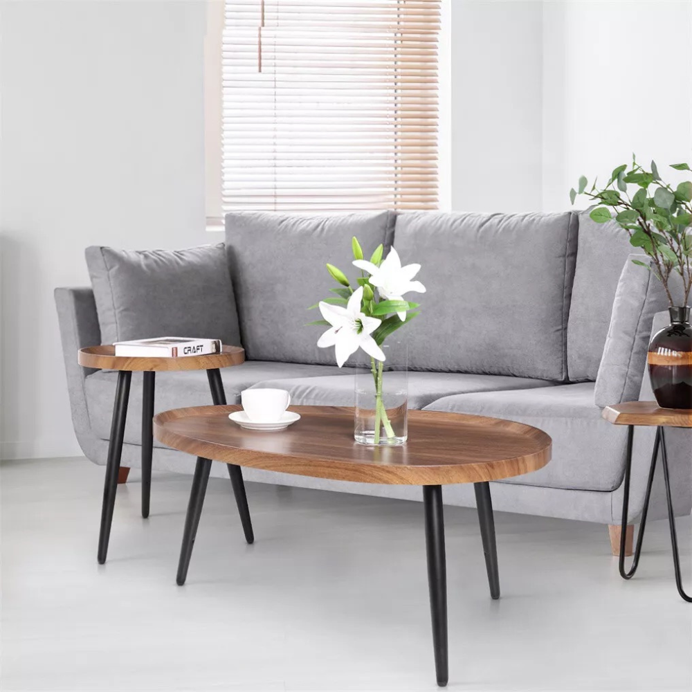 Modern Irregular Drop-shaped Coffee Table Set