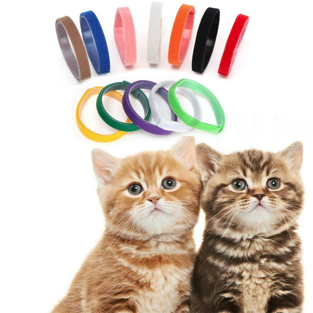 12 Colors Nylon Newborn Puppy Kitten Identification ID Collars