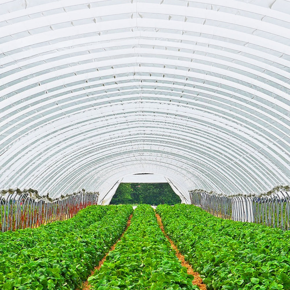 Greenhouse Film Cover Greenhouse Film UV Resistant Polyethylene Covering Garden Plants Flowers Agriculture