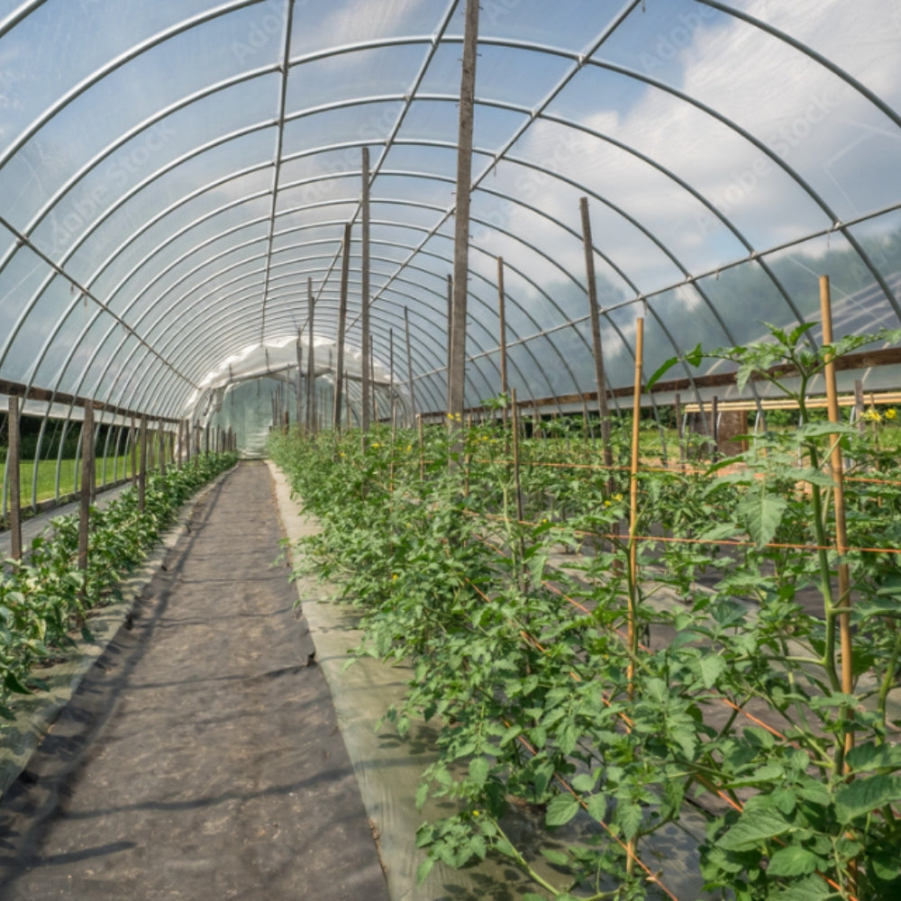 Greenhouse Film Cover Greenhouse Film UV Resistant Polyethylene Covering Garden Plants Flowers Agriculture