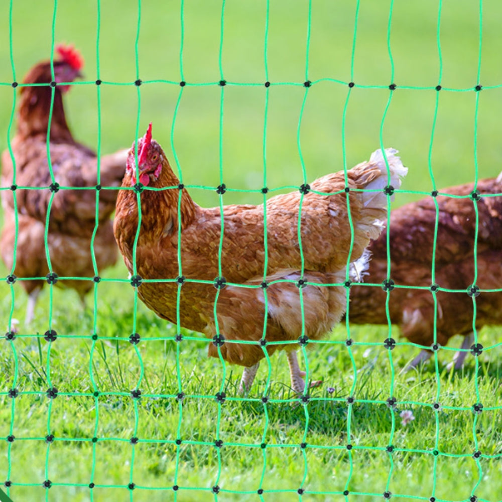 Electric Fence Netting PE Net Fencing with Posts & Double Spiked Stakes