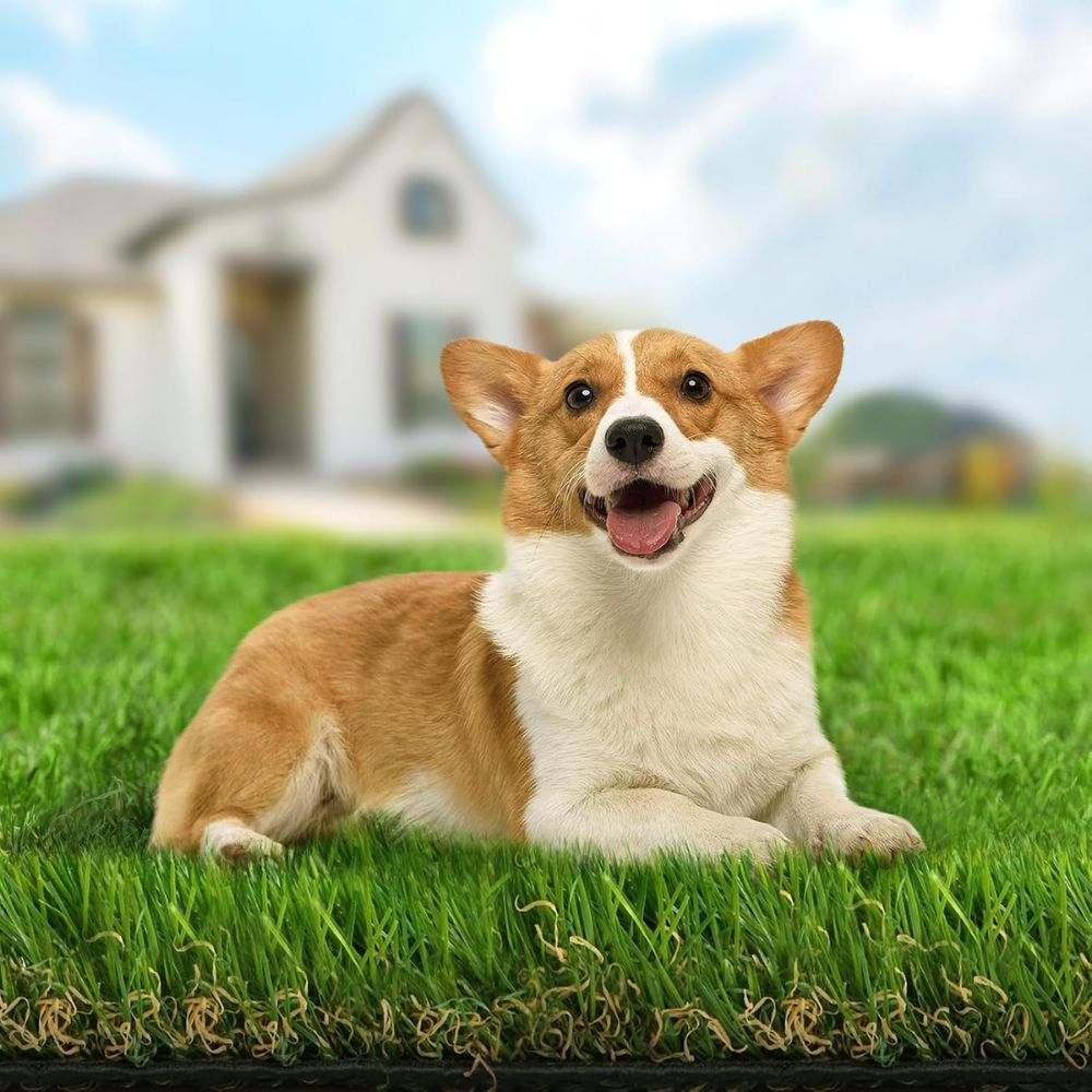 Premium Artificial Grass for a Effortless Yard