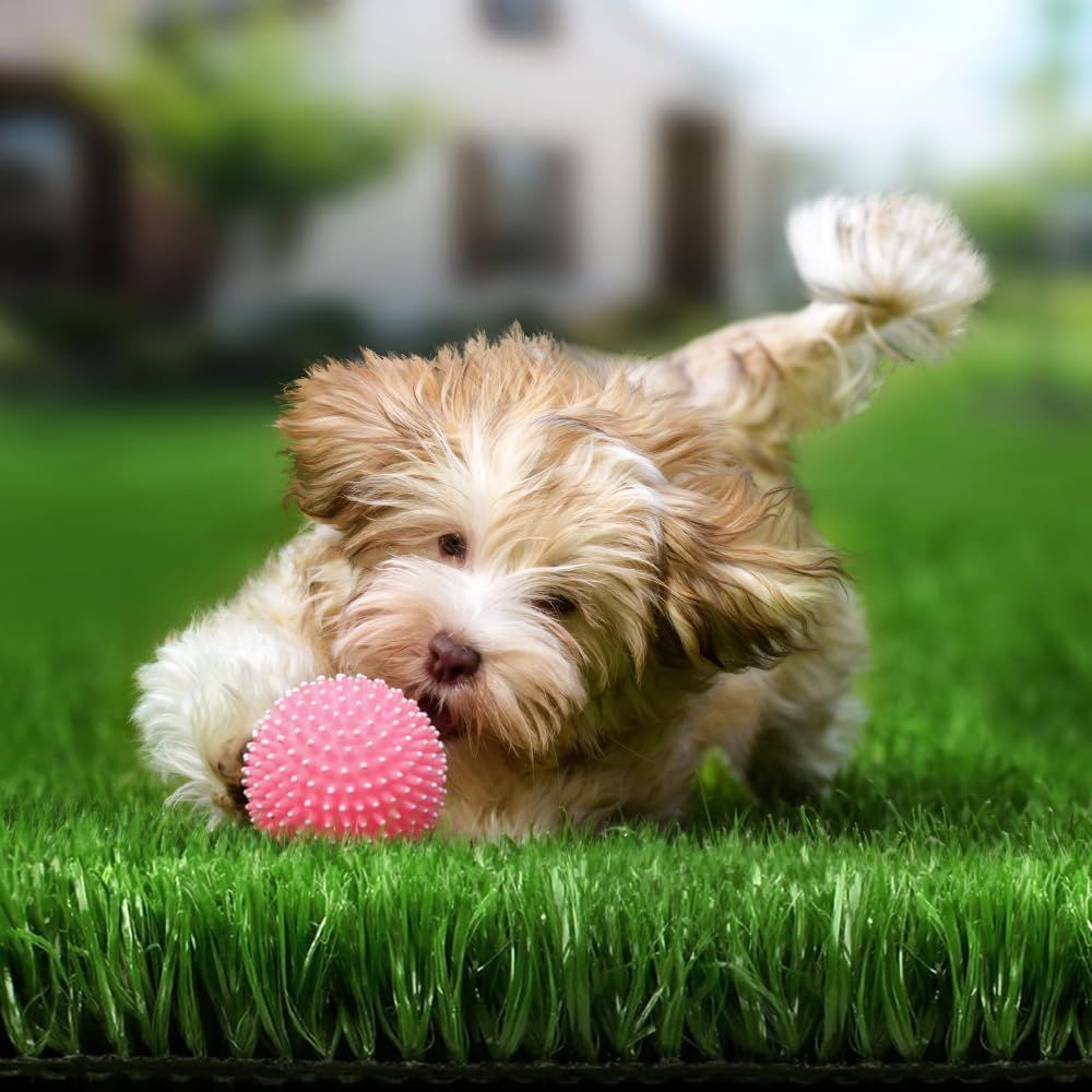 Premium Artificial Grass for a Effortless Yard