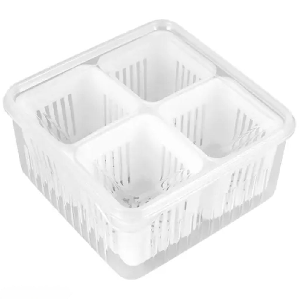 Refrigerator Storage Box 4 and 6 Grids Food Vegetable Fruit