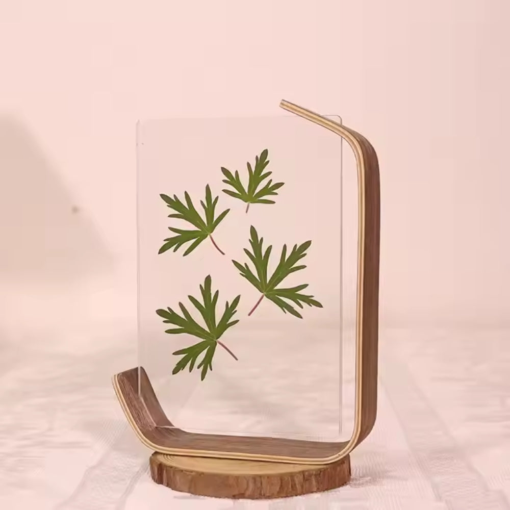 Wooden Picture Frame Swing Table DIY Transparent Herbarium Display Frame