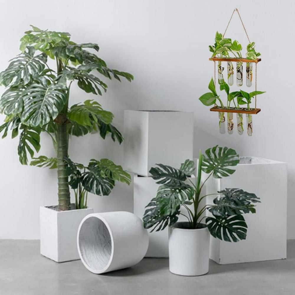 2 Layer Glass Wall Hanging Planter with Wooden Stand