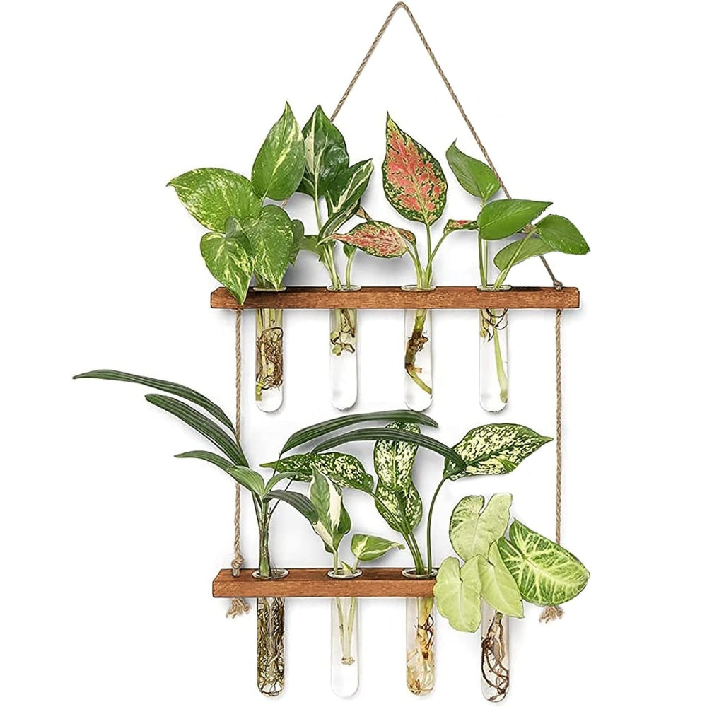 2 Layer Glass Wall Hanging Planter with Wooden Stand