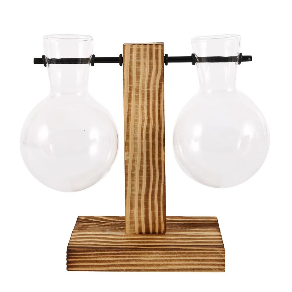 Modern Glass Bulb Vase with Wooden Stand for Hydroponic Plants