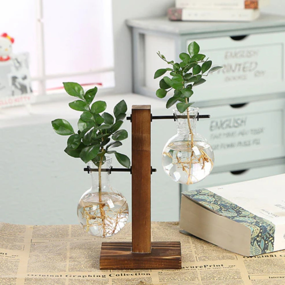 Modern Glass Bulb Vase with Wooden Stand for Hydroponic Plants