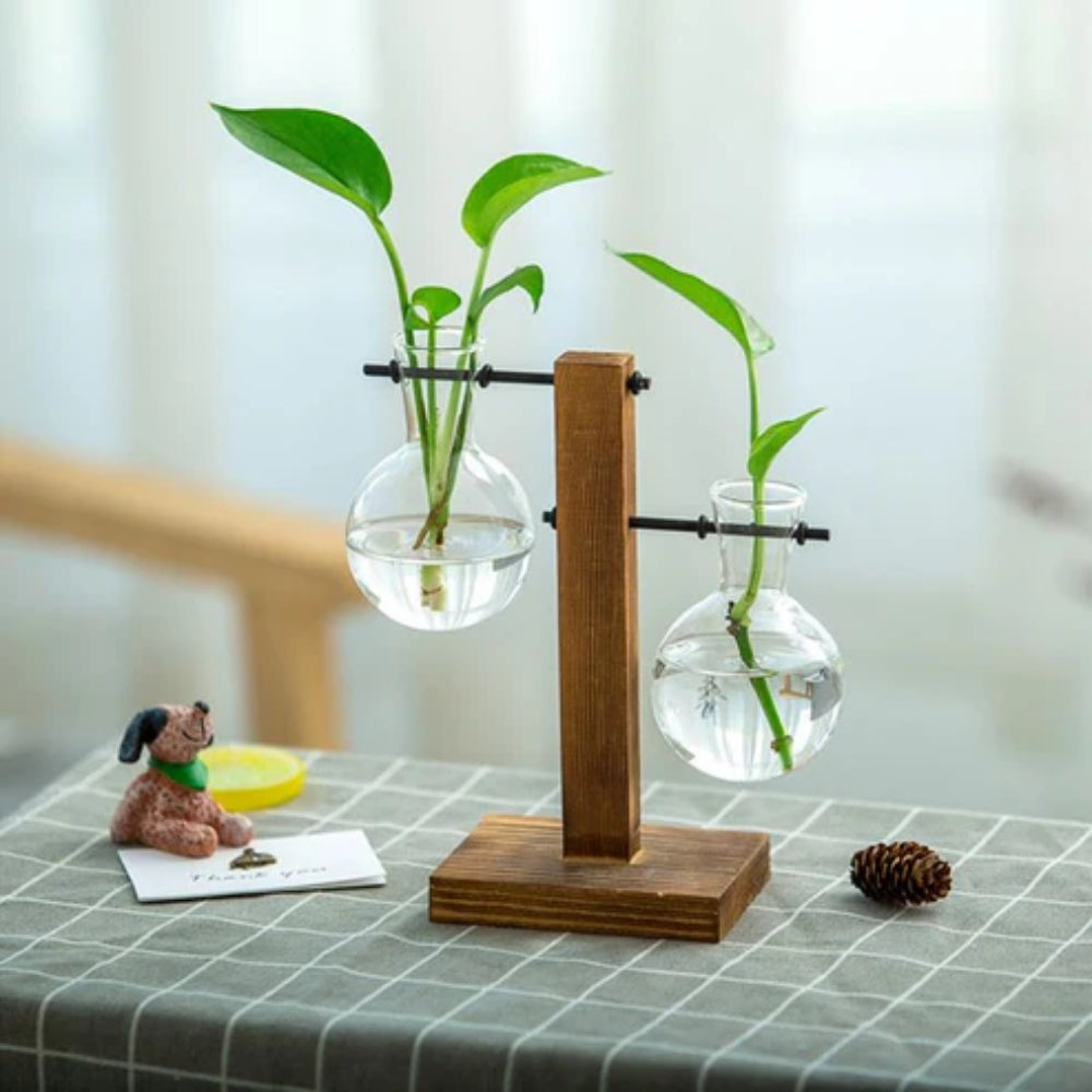 Modern Glass Bulb Vase with Wooden Stand for Hydroponic Plants