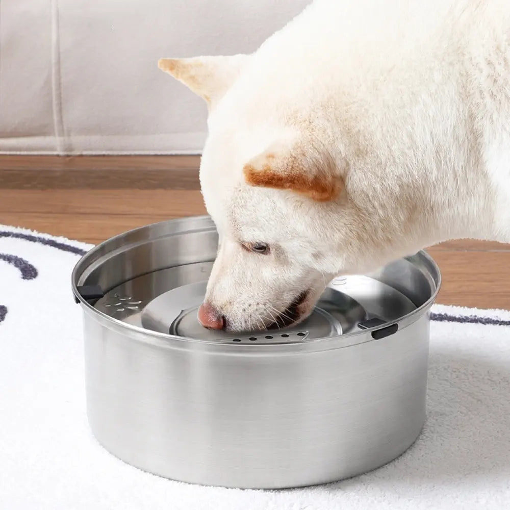 No Spill Dog Water Bowl Anti Splash Non Slip Feeder