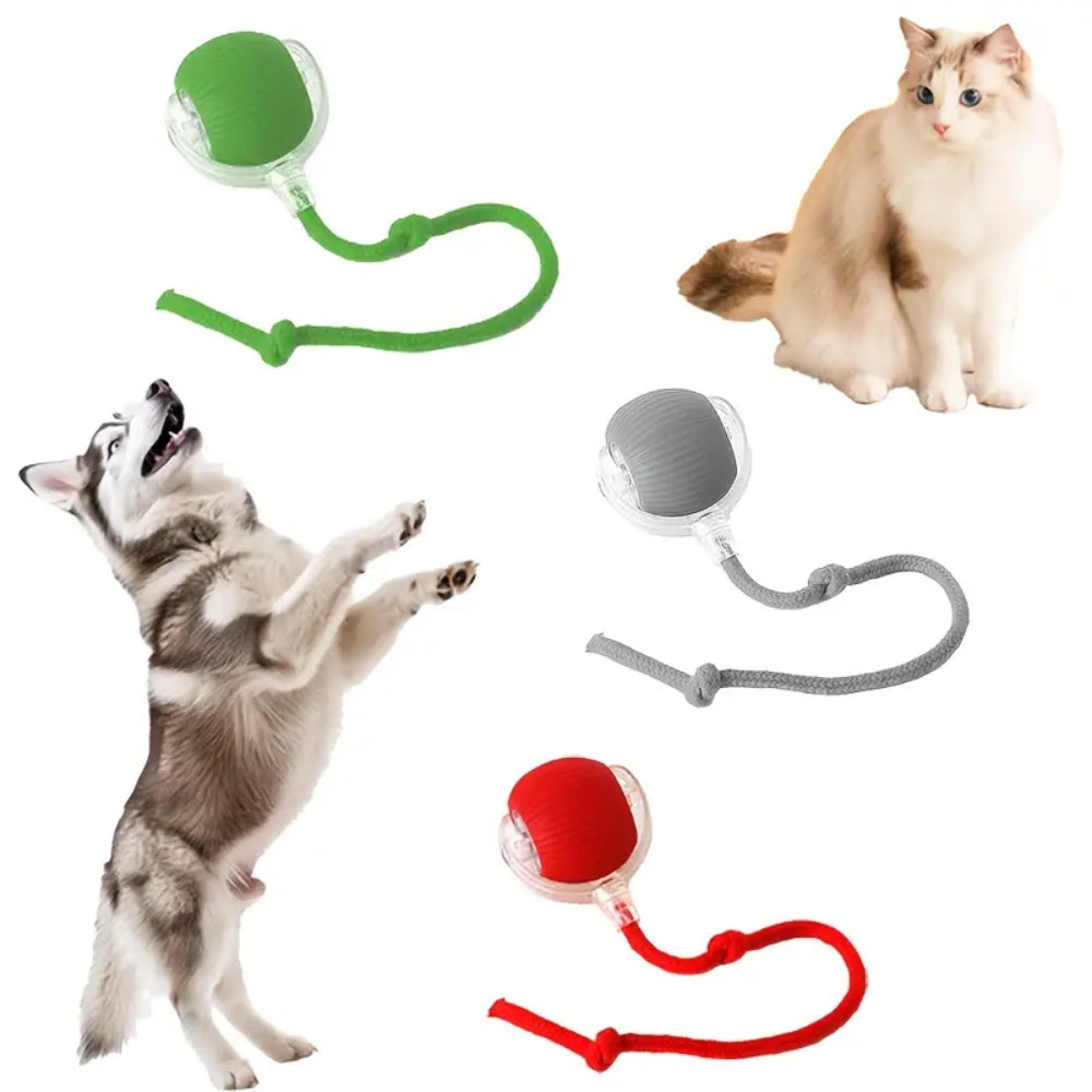 Toy Dog Cat Interactive Rechargeable Rolling Ball with Faux Tail