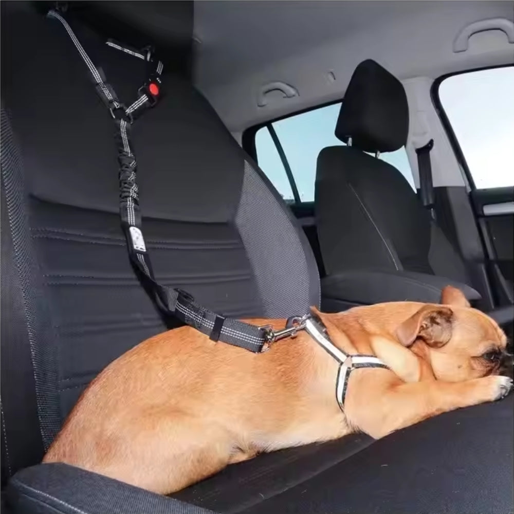 Adjustable Heavy Duty Dog Car Seat Belt with Striped Nylon Design