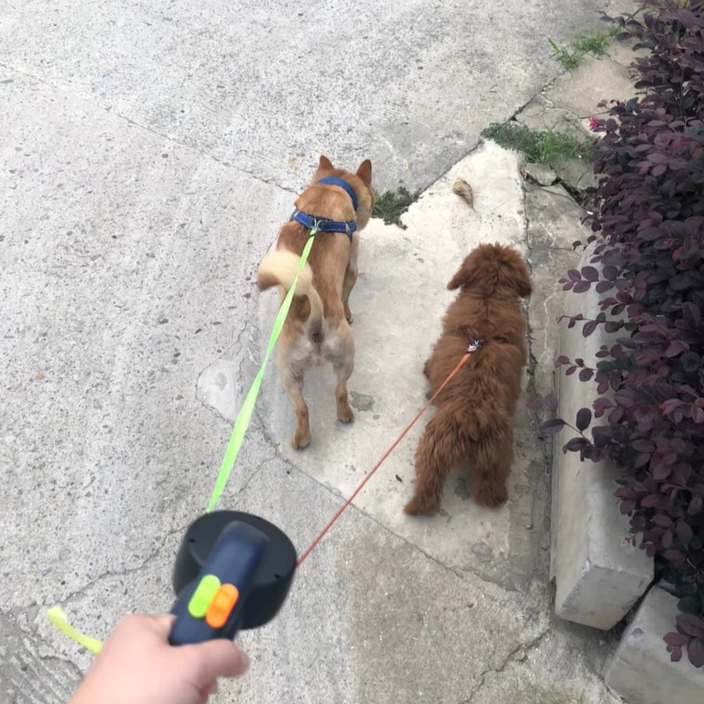 Retractable Dual Dog Leash with LED Light and Independent Braking