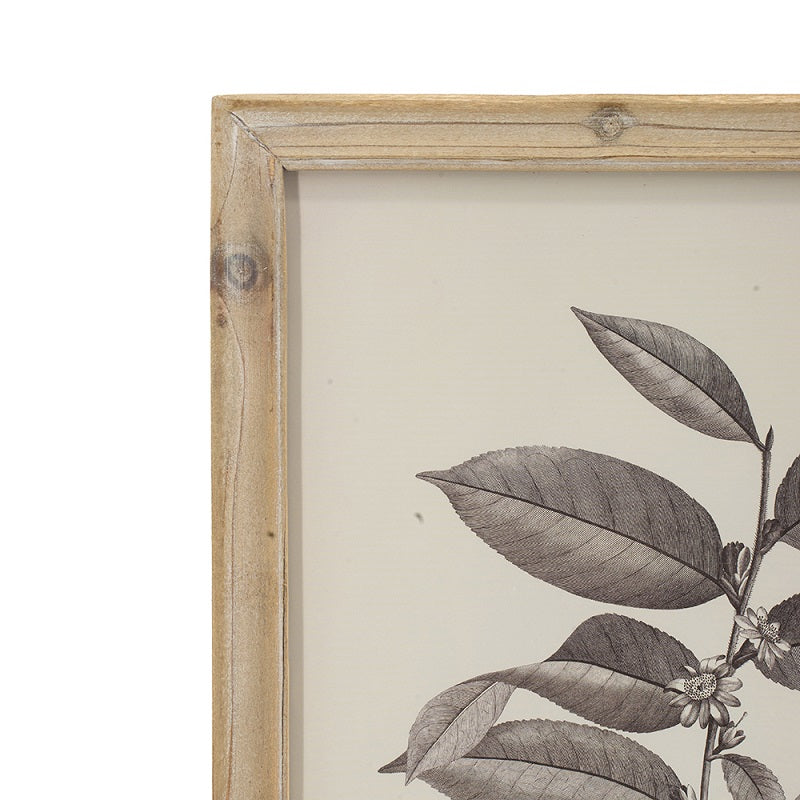 Botanical Wall Décor Set of 4 Frames 40x53cm Natural Wood Leaf Prints