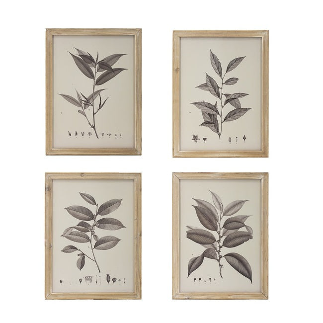 Botanical Wall Décor Set of 4 Frames 40x53cm Natural Wood Leaf Prints