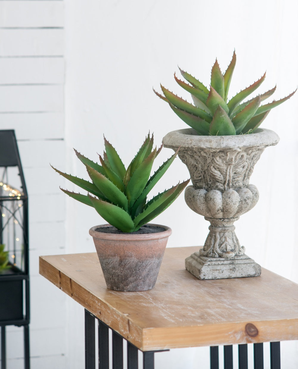 Danna Ornate Concrete Garden Urn Small Decorative Planter Antique Finish