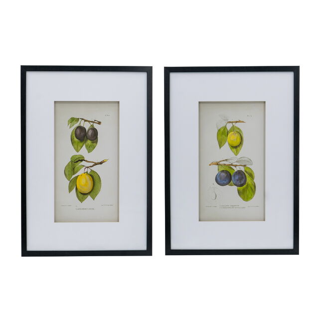 Botanical Wall Décor Set of 2 Black Frame Modern Wall Art