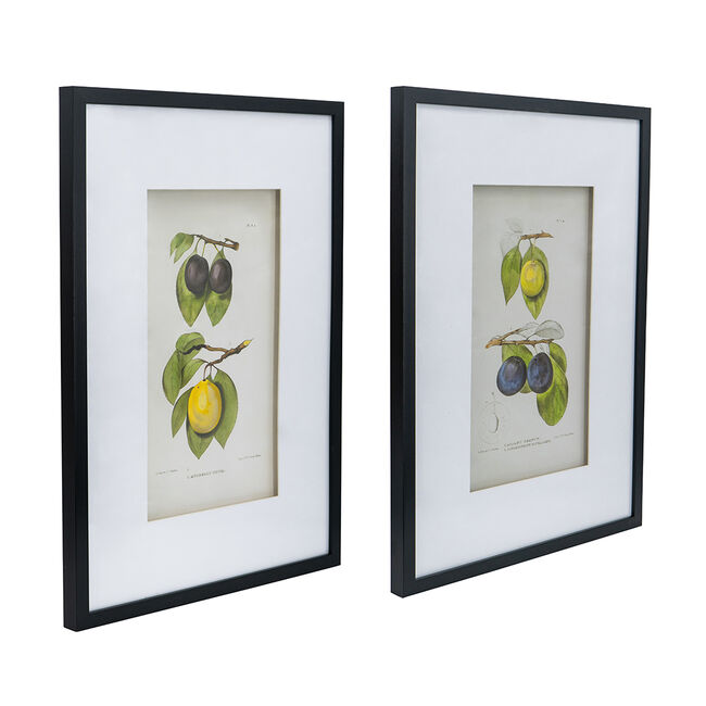 Botanical Wall Décor Set of 2 Black Frame Modern Wall Art