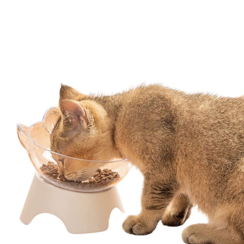 Hansona Raised Pet Feeding Transparent Bowl