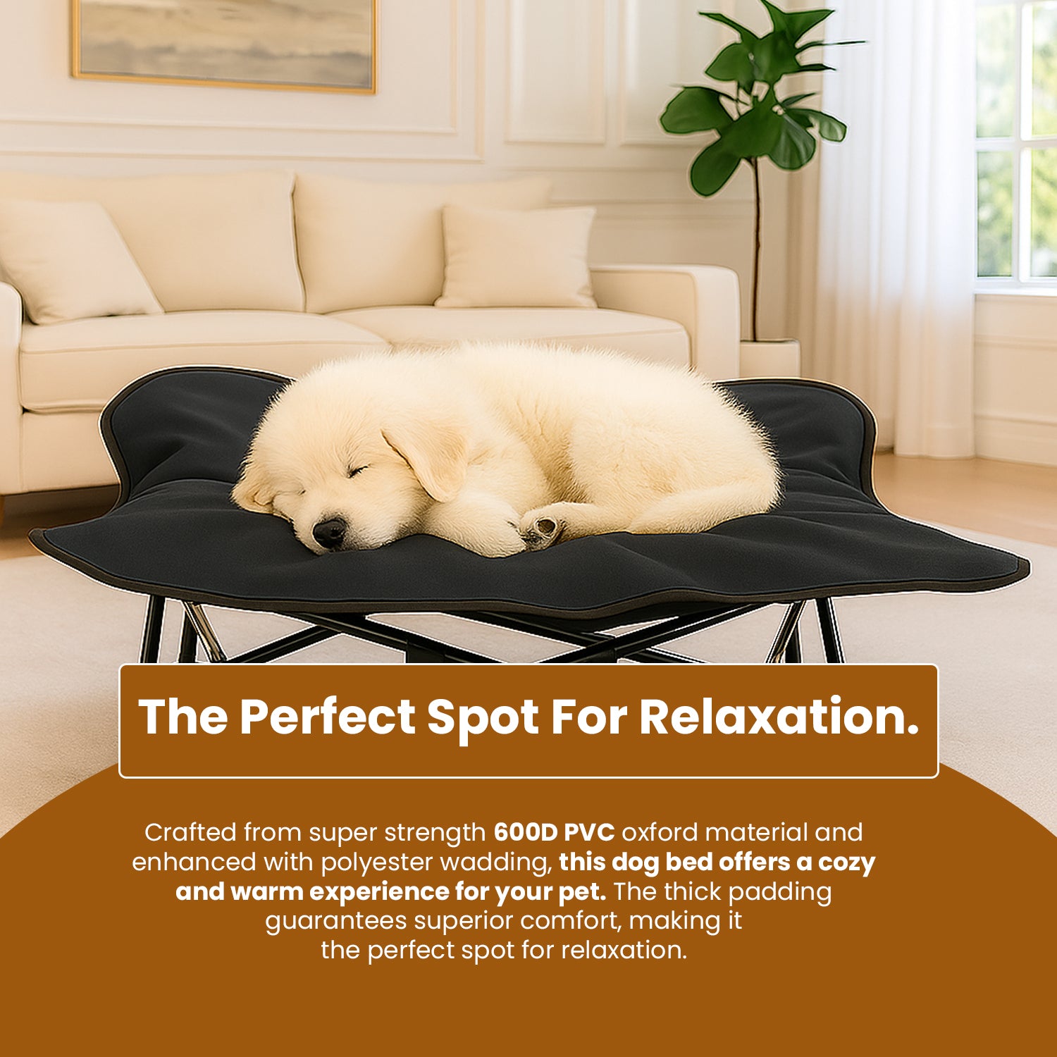 PupLily Elevated Dog Bed – Foldable Cot with Padded Topper & Bag, for Large Pets