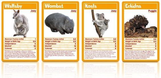 Top Trumps Winning Moves WMA Baby Animals Top Trumps Puzzle