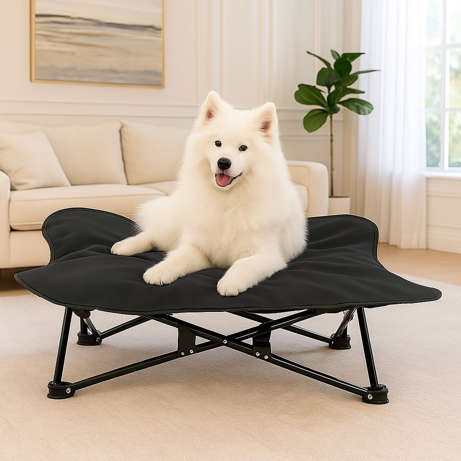 PupLily Elevated Dog Bed – Foldable Cot with Padded Topper & Bag, for Large Pets